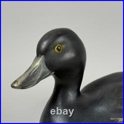 Rare Vintage Blue Bill Ring Necked Duck Decoy Big Sky Carvers Ducks Unlimited