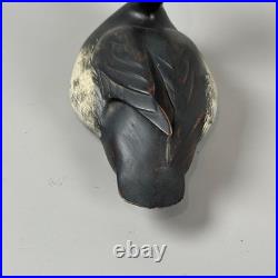 Rare Vintage Blue Bill Ring Necked Duck Decoy Big Sky Carvers Ducks Unlimited