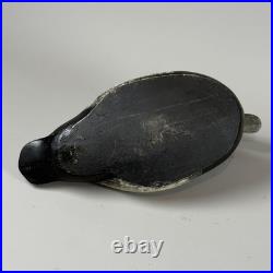 Rare Vintage Blue Bill Ring Necked Duck Decoy Big Sky Carvers Ducks Unlimited