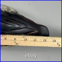 Rare Vintage Blue Bill Ring Necked Duck Decoy Big Sky Carvers Ducks Unlimited
