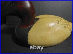 Redhead Duck Decoy, Big Sky Carvers, Orvis Decoys, Signed Thomas Chandler