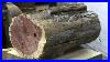 See-The-Beauty-Inside-This-Log-Wood-Turning-01-ioha