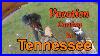 Vacation-Carving-In-Tennessee-Chainsaw-Art-01-vy