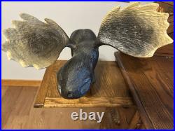 Vintage Adorable Big Sky Carvers Large Heavy Wooden Moose Statue & Free Shipping