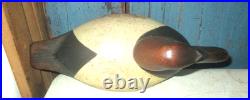 Vintage Ducks Unlimited Canvasback Drake Duck Decoy Signed Sally MC Murray