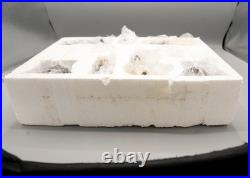 Vtg 2002 Big Sky Carvers Canine Dogtivity Dog Nativity 9 Piece Set with Box READ