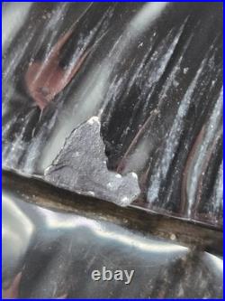 Vtg Rare Fat Chickadee Cookie Jar/Baby Chick's Salt/Pepper, Big Sky Carvers, VGC