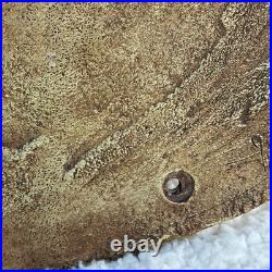 Welcome Plaque Sign Big Sky Carvers Jane Shull Beasley Chickadee Cabin Rustic