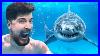 Would-You-Swim-With-Sharks-For-100-000-01-mrj